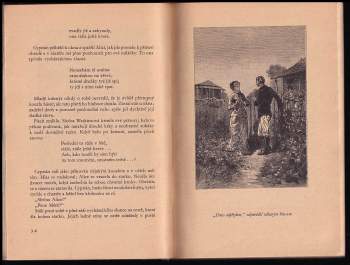 Jules Verne: Hvězda jihu