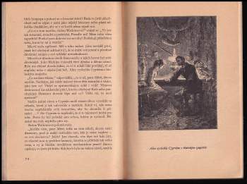 Jules Verne: Hvězda jihu