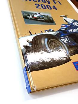 Richard Plos: Hvězdy F1 2004