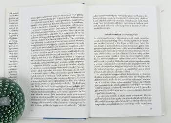 Jonathan Haidt: Hypotéza štěstí