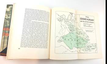 Idea československého státu