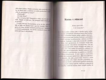 Vladimir Sergejevič Solov‘jev: Idea nadčlověka