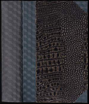 Fedor Michajlovič Dostojevskij: Idiot