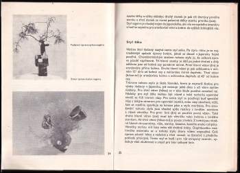 Ladislav Jakerle: Ikebana