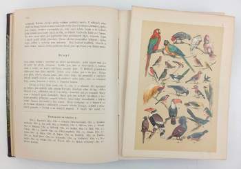 Bohumil Bauše: Illustrovaný přírodopis tří říší