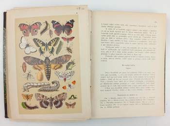 Bohumil Bauše: Illustrovaný přírodopis tří říší