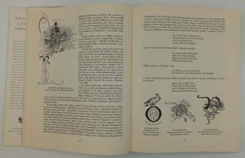 Hana Volavková: Ilustrace české poezie a prózy