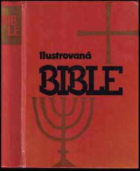 Ilustrovaná bible pro mládež