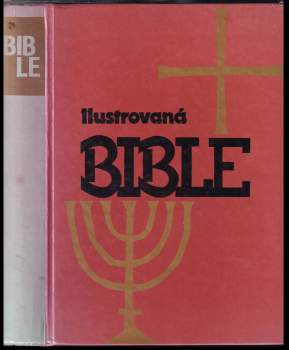 Ilustrovaná bible pro mládež
