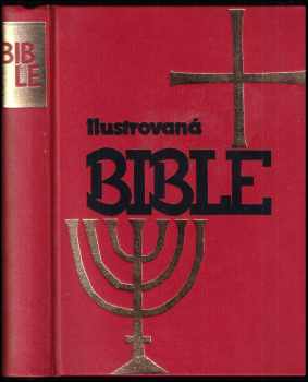 Ilustrovaná bible pro mládež