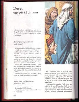 Ilustrovaná bible pro mládež
