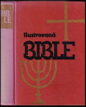 Ilustrovaná bible pro mládež