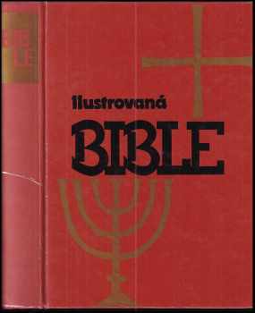 Ilustrovaná bible pro mládež