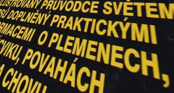 Joan Palmer: Ilustrovaná encyklopedie psích plemen