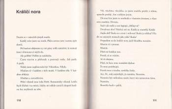 Barbara Nesvadbová: Iluze