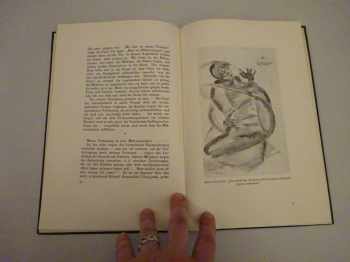 Egon Schiele: Im Gefängnis : Aufzeichnung und Zeichnungen
