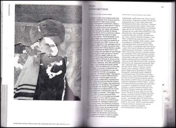 Roman Buxbaum: Images for images