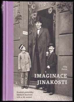Imaginace jinakosti