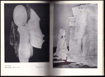 František Smejkal: Imaginativní malířství 1930-1950