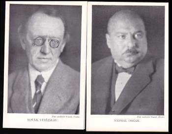 Antonín Dvořák: IMI