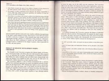 Natalie Hevener Kaufman: Implementing the UN Convention on the Rights of the Child