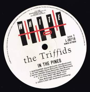 The Triffids: In The Pines