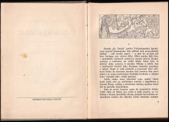 Torry Gredsted: Indiánek Paw