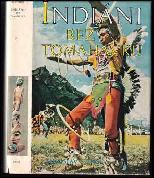 Indiáni bez tomahavků