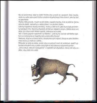 Vladimír Hulpach: Indiánské pohádky