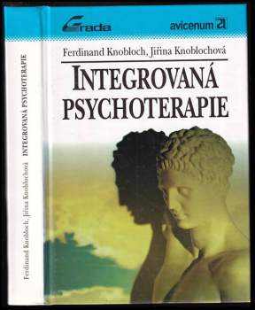 Integrovaná psychoterapie