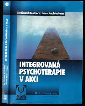 Integrovaná psychoterapie v akci