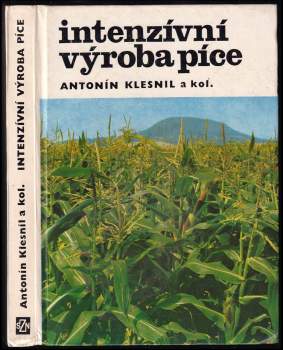Intenzívní výroba píce
