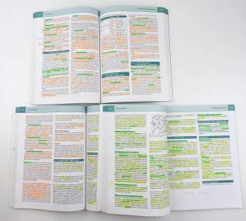 Richard Češka: Interna