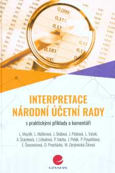 Interpretace Národní účetní rady