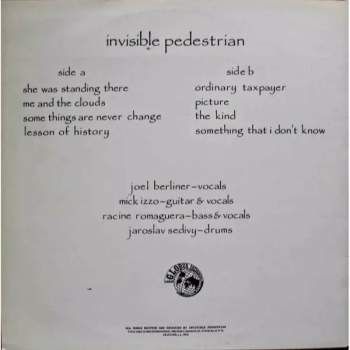 Invisible Pedestrian: Invisible Pedestrian