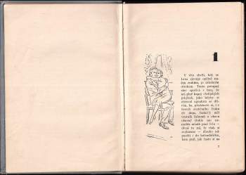 Josef Roden: Irčino tajemství