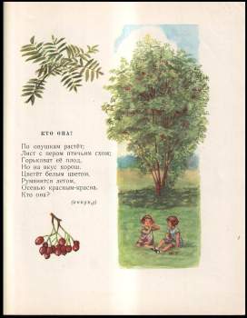 Irina Borobjeva: Березка