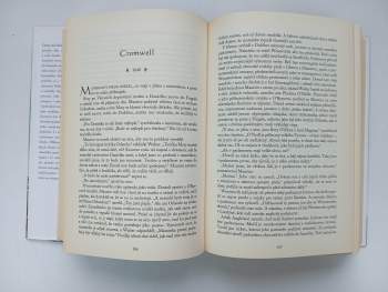 Edward Rutherfurd: Irsko