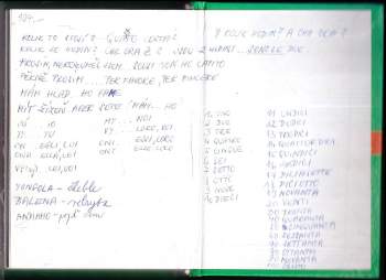 Václav Hodr: Italsko-český a česko-italský kapesní slovník