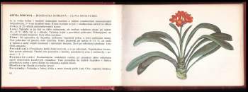 Martin Červenka: Izbové rastliny