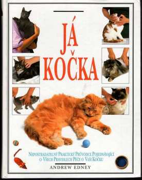Já, kočka