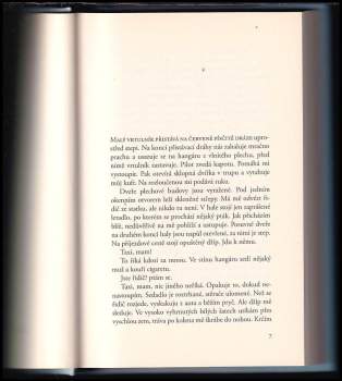 Josef Haslinger: Jáchymov