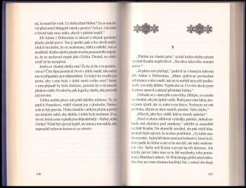 Vlastimil Vondruška: Jáchymovští démoni