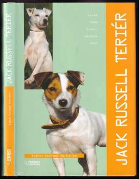 Jack Russell teriér