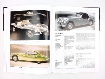 Heiner Stertkamp: Jaguar