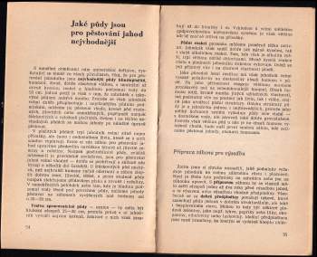 Vladimír Zacha: Jahody