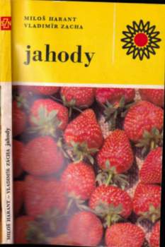 Vladimír Zacha: Jahody