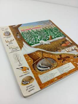 Jak bydlí zvířátka