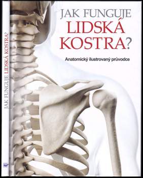 Jak funguje lidská kostra?