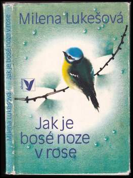 Jak je bosé noze v rose